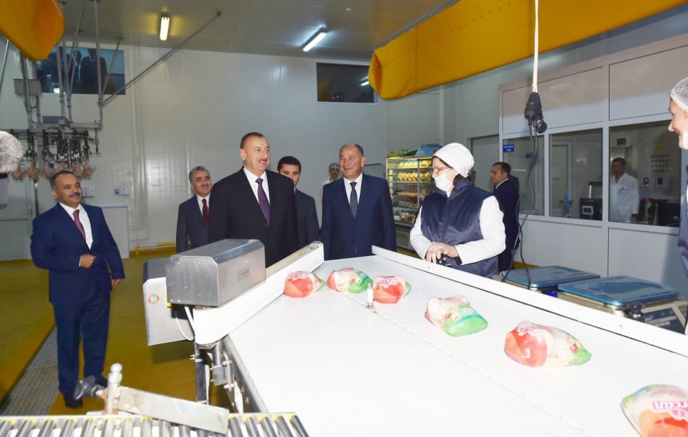 Le Président de la République visite une exploitation industrielle de poulets à Oudjar VIDEO