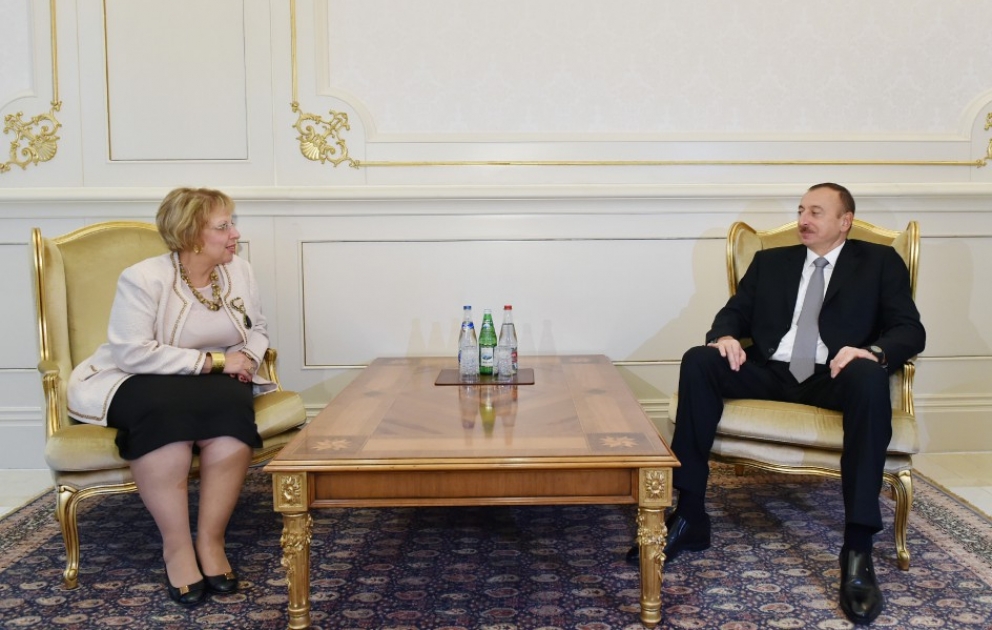 President Ilham Aliyev received the credentials of the incoming Egyptian Ambassador VIDEO