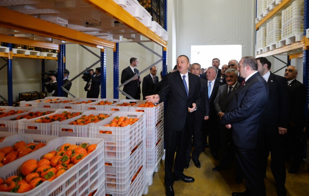 Präsidenten von Aserbaidschan und Georgien besuchen ein Kühlhaus in Marneuli VIDEO