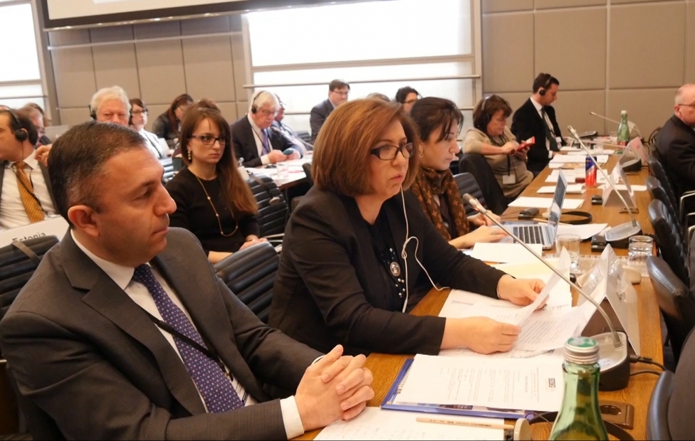 Ermənistan Azərbaycanın Dağlıq Qarabağ regionunun icmaları arasında dialoqa maneələr yaradır VİDEO