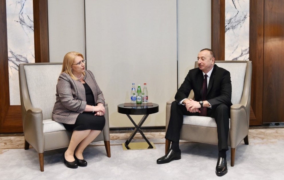 President Ilham Aliyev met with Maltese President Marie-Louise Coleiro Preca VIDEO