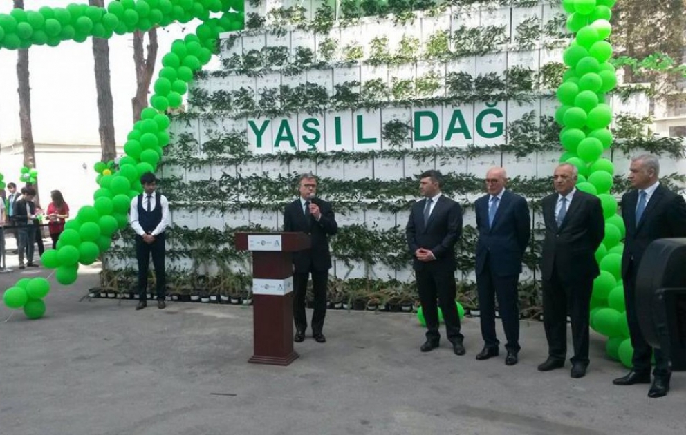 Bakıda “Yaşıl dağ” aksiyası keçirilib VİDEO