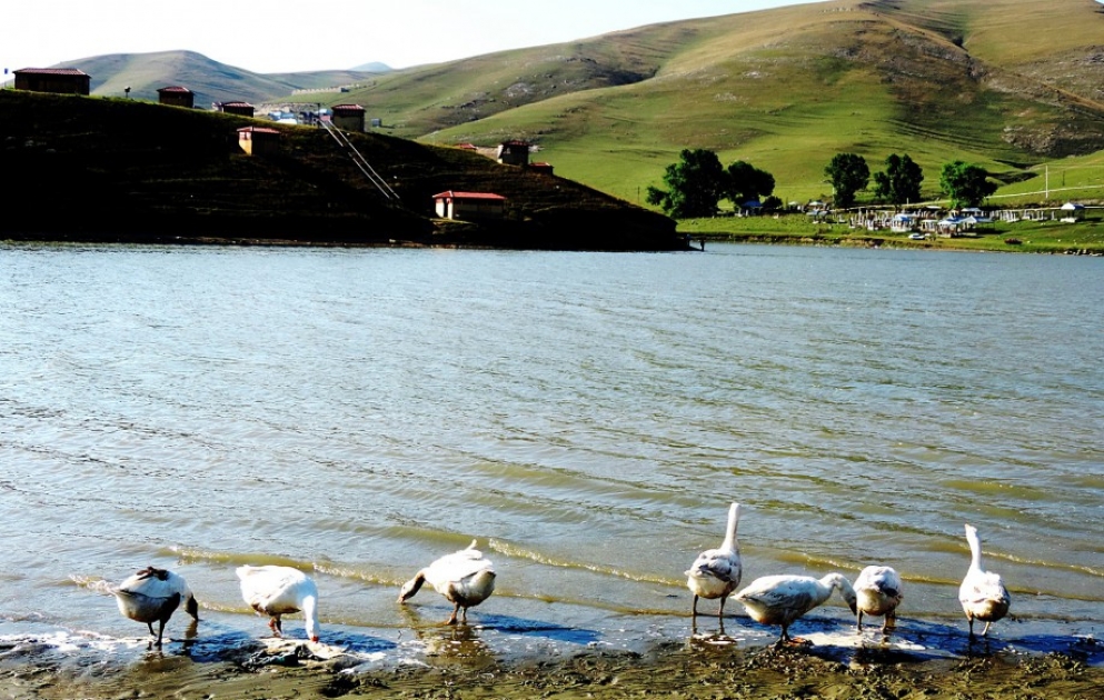 Xoşbulaq yaylağı [FOTOREPORTAJ] VİDEO