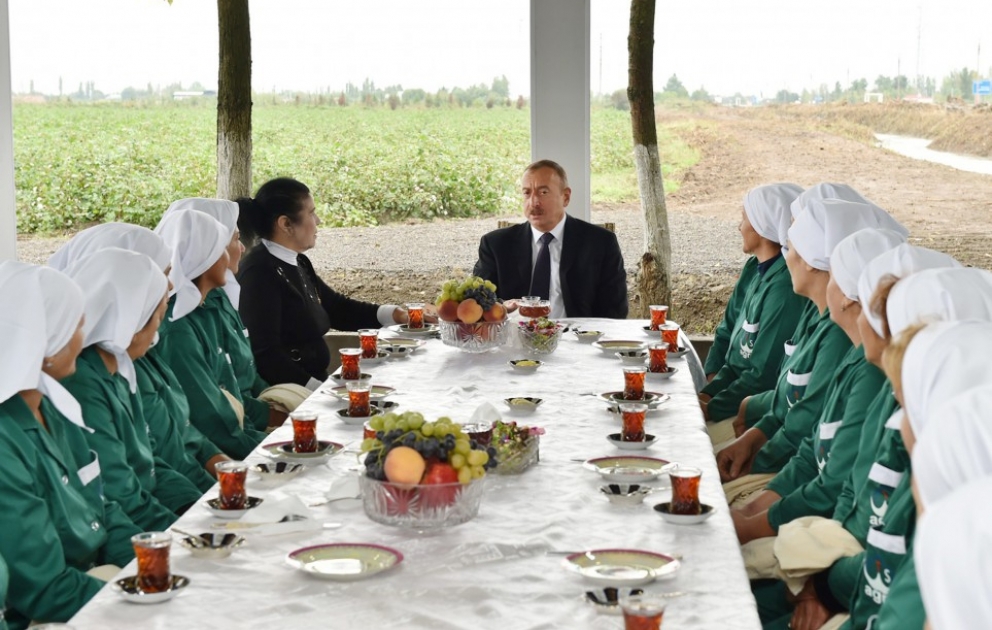 Präsident von Aserbaidschan Ilham Aliyev besucht Baumwollfeld in Sabirabad VIDEO