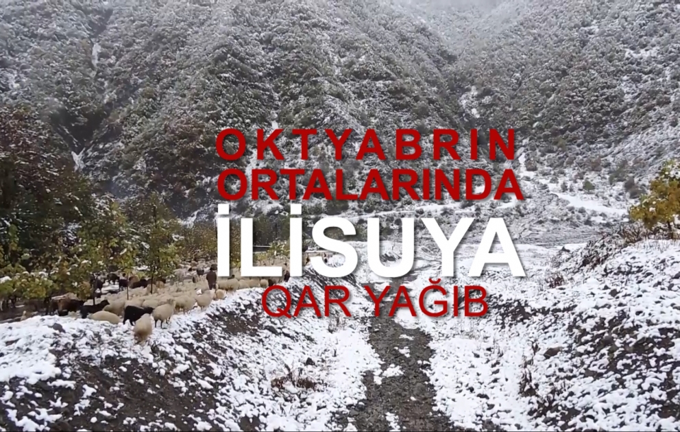 Uzun illərdən bəri ilk dəfə oktyabrın ortalarında İlisuya qar yağıb  FOTO  VİDEO