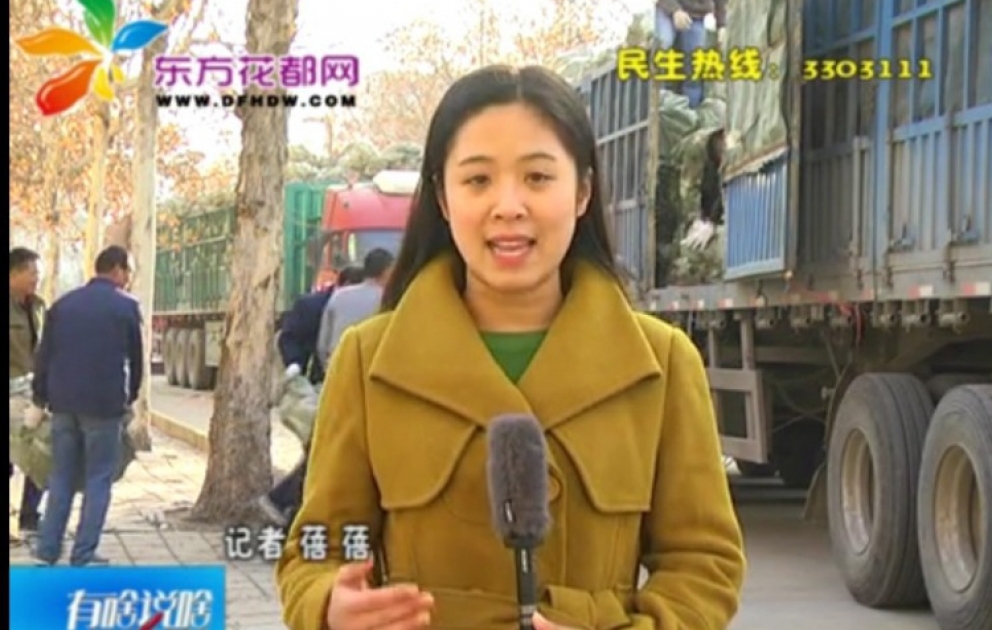 “Dongfang Huadu Wang” TV: Azərbaycan Asiya və Avropa arasında körpü rolu oynayan vacib ölkədir VİDEO