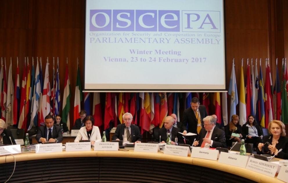 Winter Meeting of OSCE PA opens in Vienna VIDEO