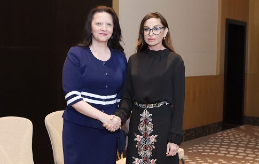 Birinci vitse-prezident Mehriban Əliyeva Makedoniya Respublikasının birinci xanımı Maya İvanova ilə görüşüb VİDEO