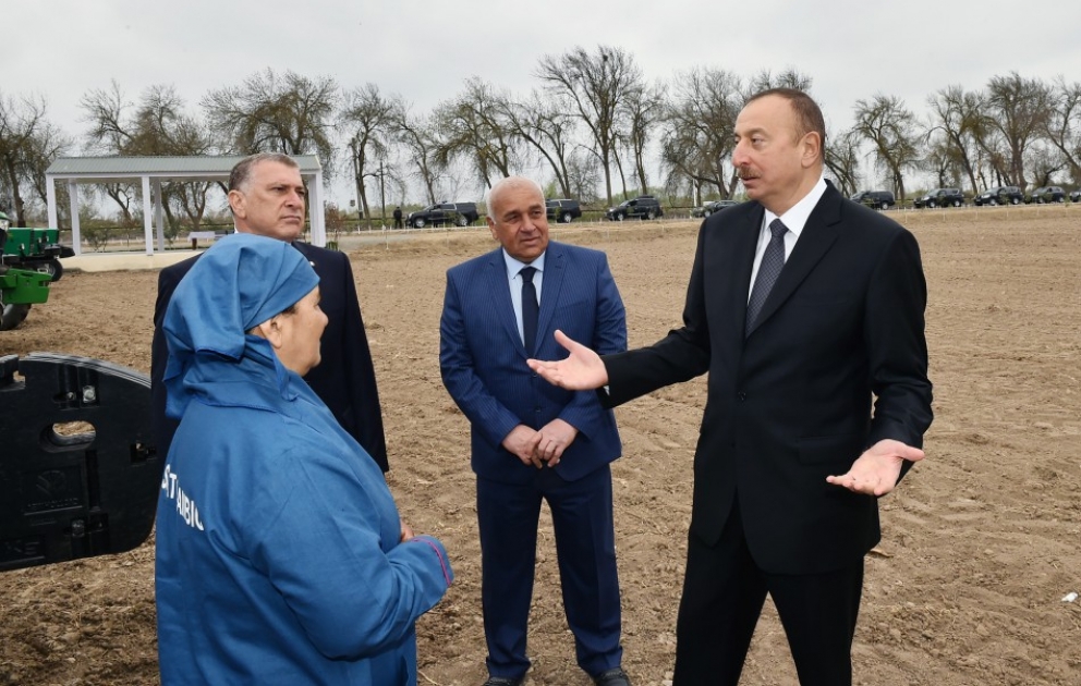 Saatly: le président Ilham Aliyev visite un champ de coton dans le village de Guiragly VIDEO