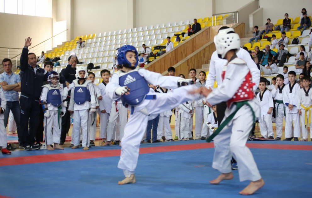 Xaçmazda taekvando üzrə zona yarışlarının qalibləri mükafatlandırılıb VİDEO