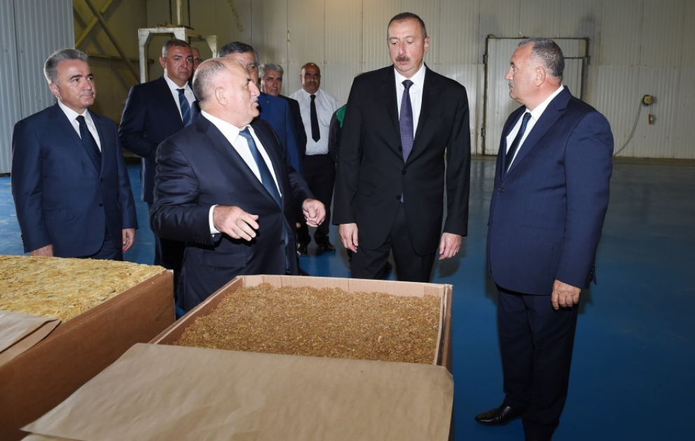 Staatspräsident Ilham Aliyev besucht Tabakverarbeitungsbetrieb in Zagatala VIDEO