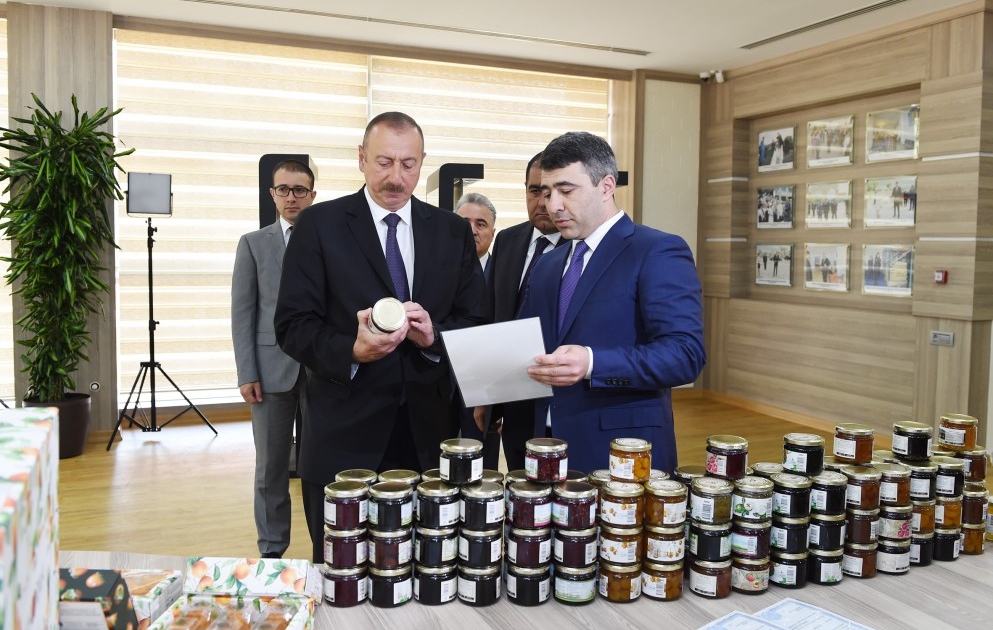 President Ilham Aliyev inaugurated ABAD Center in Balakan VIDEO