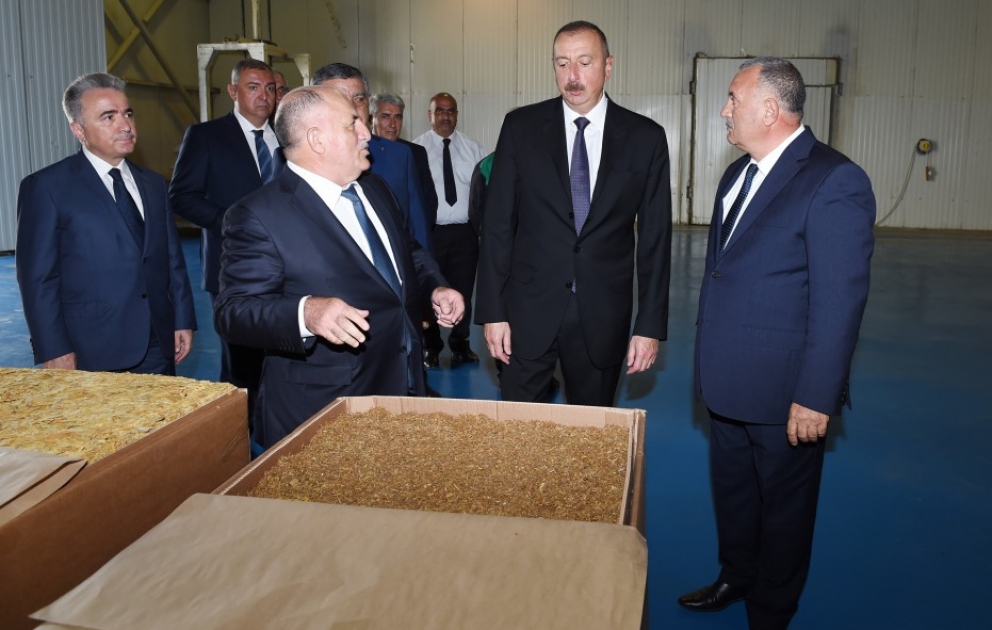 Le président Ilham Aliyev visite une usine de traitement du tabac à Zagatala VIDEO