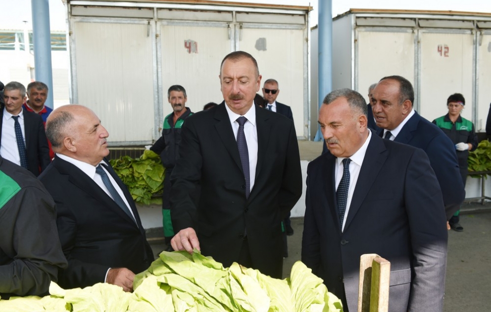 Staatspräsident Ilham Aliyev besucht Tabaktrockenanlage in Gakh VIDEO