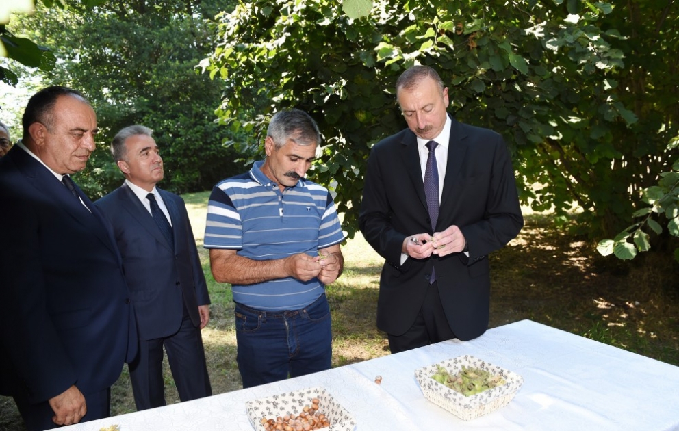 Gakh : visite d’une plantation de noisetiers dans le village de Lélépacha VIDEO