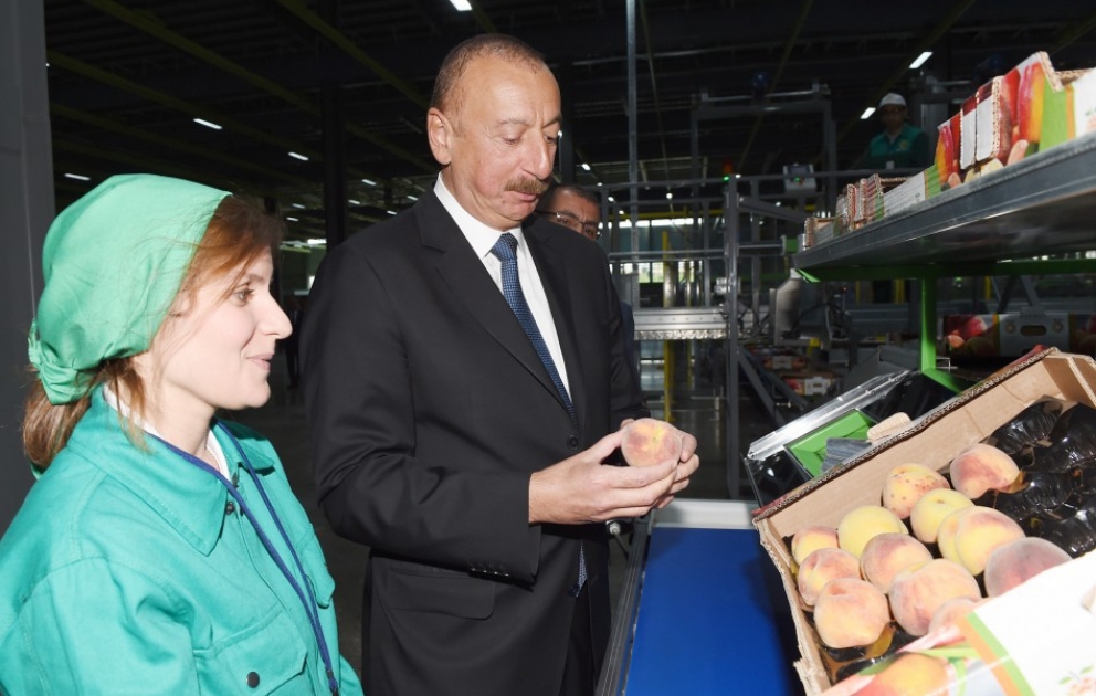 Prezident İlham Əliyev “Şəmkir Aqroparkı”nın Logistika Mərkəzinin açılışında iştirak edib VİDEO