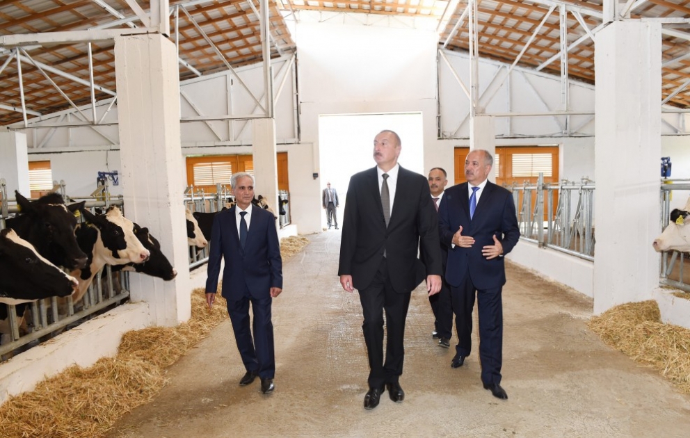Prezident İlham Əliyev Cəlilabadda “Günəşli-Aqro” MMC-nin aqroparkında yaradılan şəraitlə tanış olub VİDEO