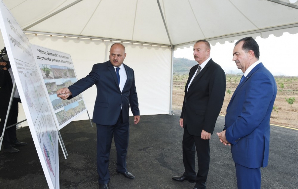 “Gilan Orchards" MMC tərəfindən salınmış sitrus bağları ilə tanışlıq VİDEO