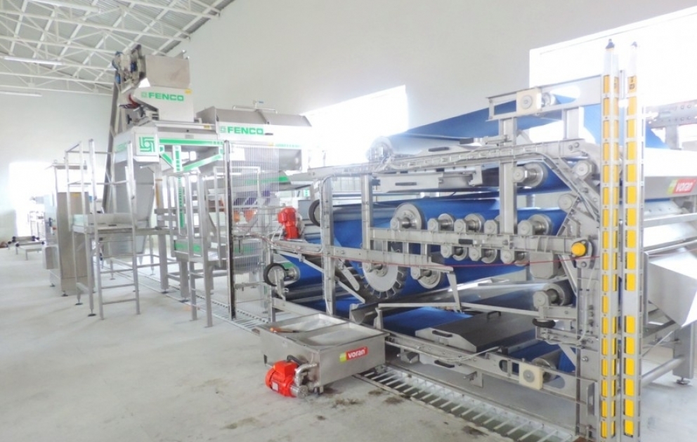 Goranboyda nar konsentratı innovativ metodlarla emal olunacaq VİDEO