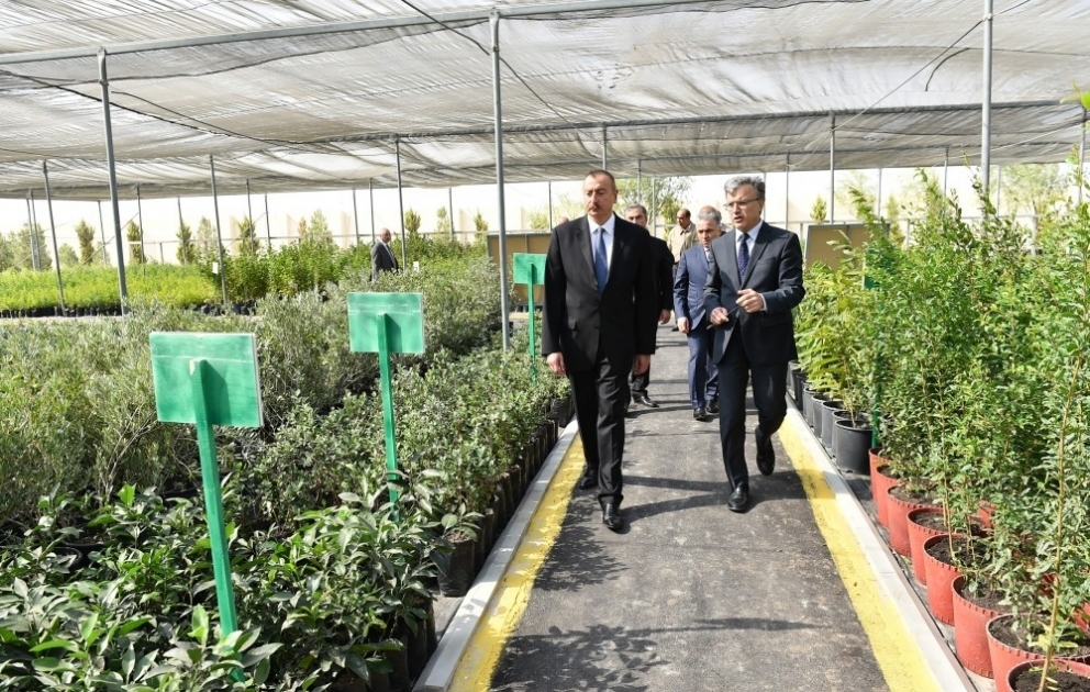 Prezident İlham Əliyev Salyanın Xıdırlı kəndində dəniz suyunun duzsuzlaşdırılması kompleksinin fəaliyyəti ilə tanış olub VİDEO
