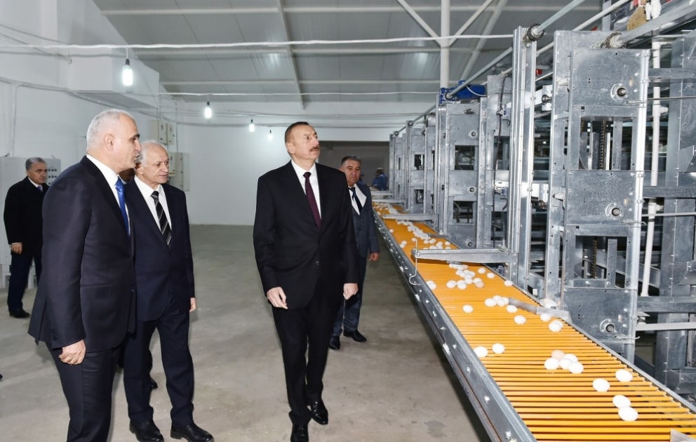 Sabirabad rayonunun Nizami kəndində quşçuluq fabrikinin fəaliyyəti ilə tanışlıq VİDEO