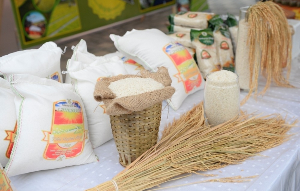 Lənkəranda “Çay, çəltik və sitrus festivalı” keçirilib  FOTOREPORTAJ VİDEO