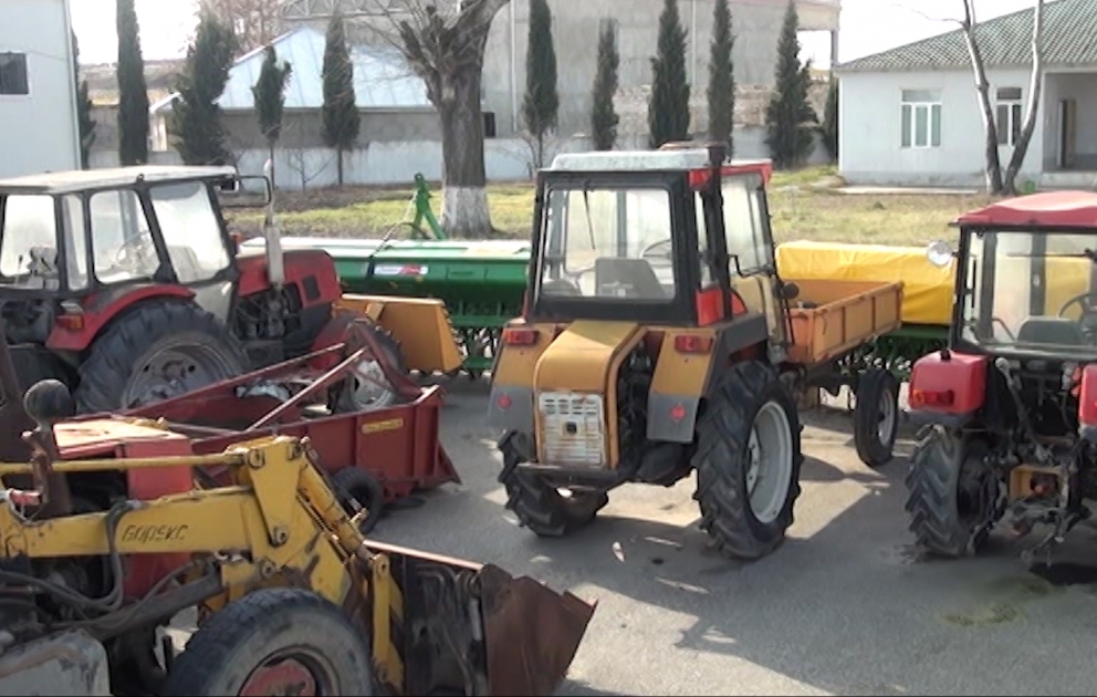 Torpaq mülkiyyətçiləri subsidiyalardan yararlanmaqla taxıl sahələrini artırırlar VİDEO