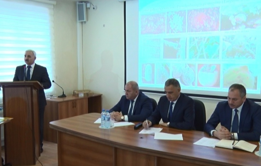 Quba-Xaçmaz bölgəsində fitosanitar vəziyyət təhlil olunub VİDEO