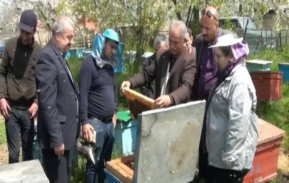 Türkiyəli mütəxəssislər astaralı arıçılarla təcrübə mübadiləsi aparıblar VİDEO