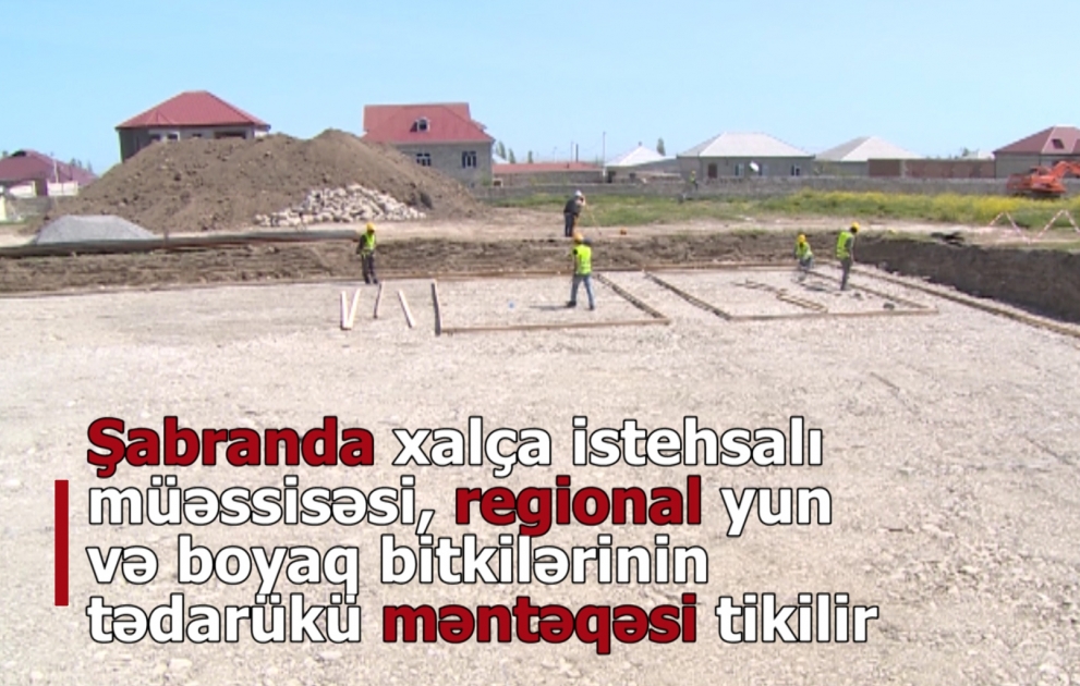 Şabranda xalça istehsalı müəssisəsinin, regional yun və boyaq bitkilərinin tədarükü məntəqəsinin tikintisinə başlanılıb VİDEO