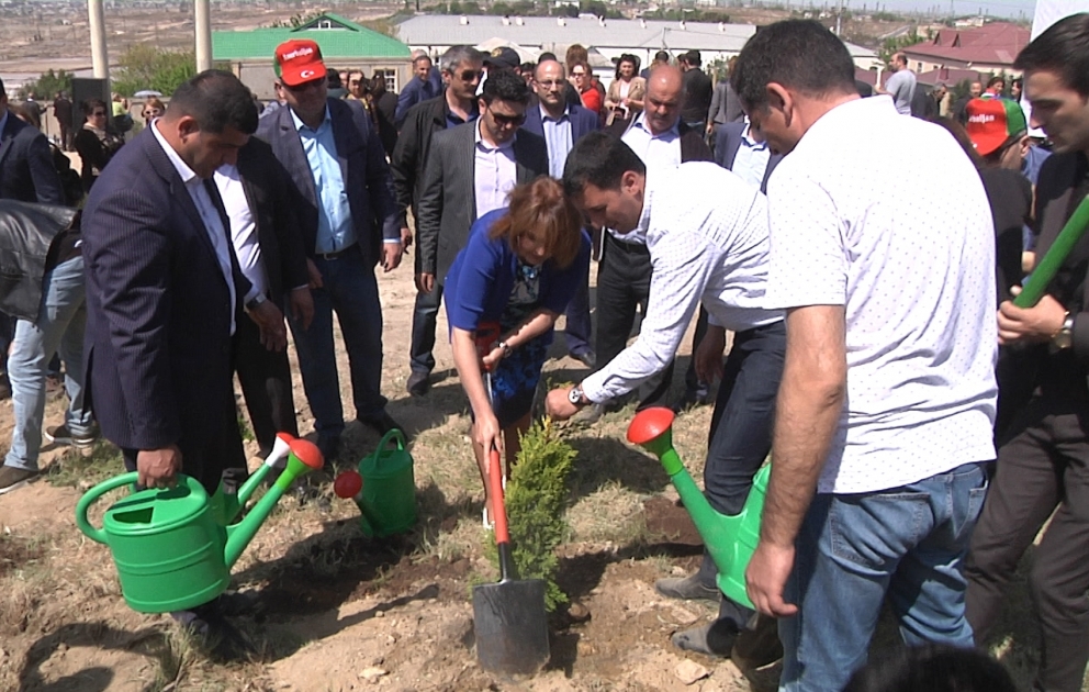 Ümummilli lider Heydər Əliyevin anadan olmasının 95 illiyi ilə əlaqədar mindən çox ağac əkilib  VİDEO