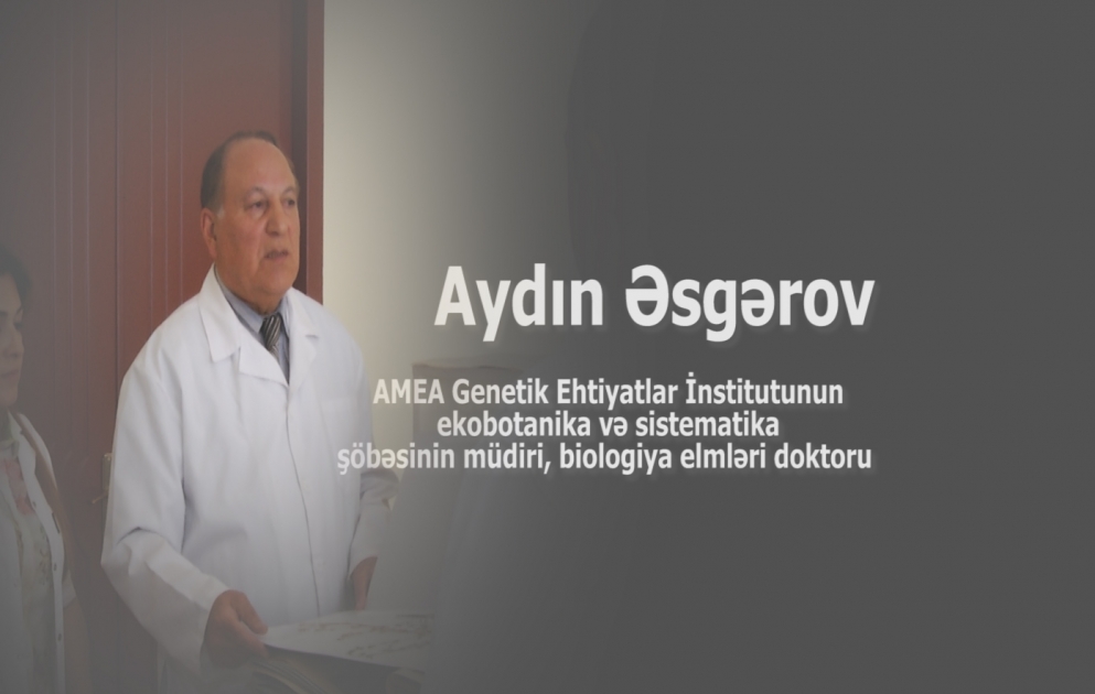 Azərbaycan biologiya və genetika elmlərinin inkişafına böyük töhfələr verən fədakar alim  VİDEO