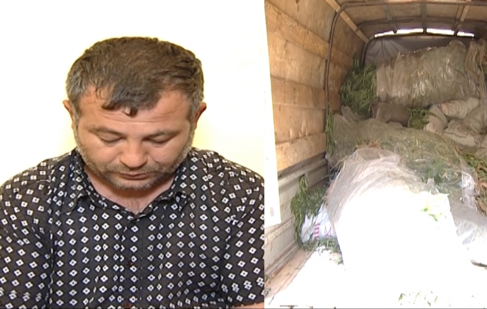 Sabunçu rayonunda narkotik tərkibli bitkilərin kultivasiyası ilə məşğul olan şəxs saxlanılıb VİDEO