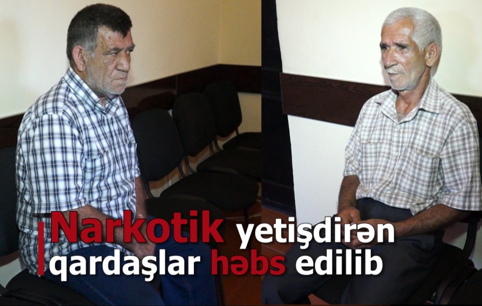 Ağdaşda tərəvəz sahəsində narkotik yetişdirən qardaşlar həbs edilib VİDEO