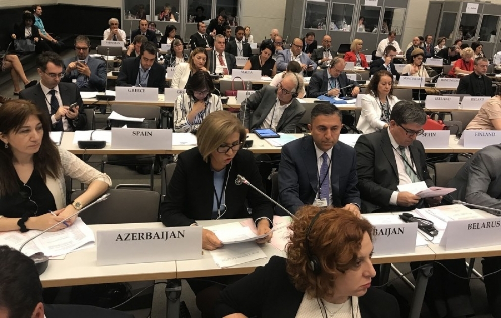 На сессии ПА ОБСЕ в очередной раз обращено внимание на факт оккупации Арменией территории Азербайджана ВИДЕО