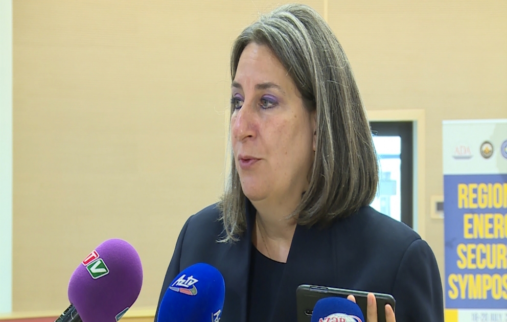 Brenda Şaffer: TANAP layihəsi təkcə Azərbaycan üçün deyil, dünya üçün böyük nailiyyətdir VİDEO