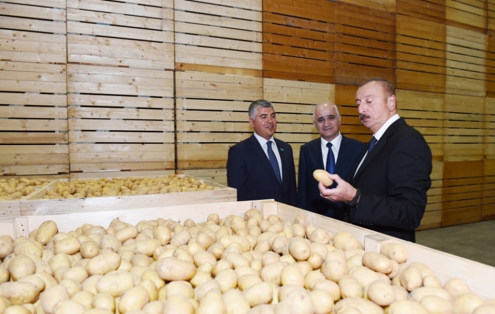 Prezident İlham Əliyev İsmayıllıda “Buta Qrup” MMC tərəfindən yaradılan aqroparkın açılışında iştirak edib YENİLƏNİB VİDEO