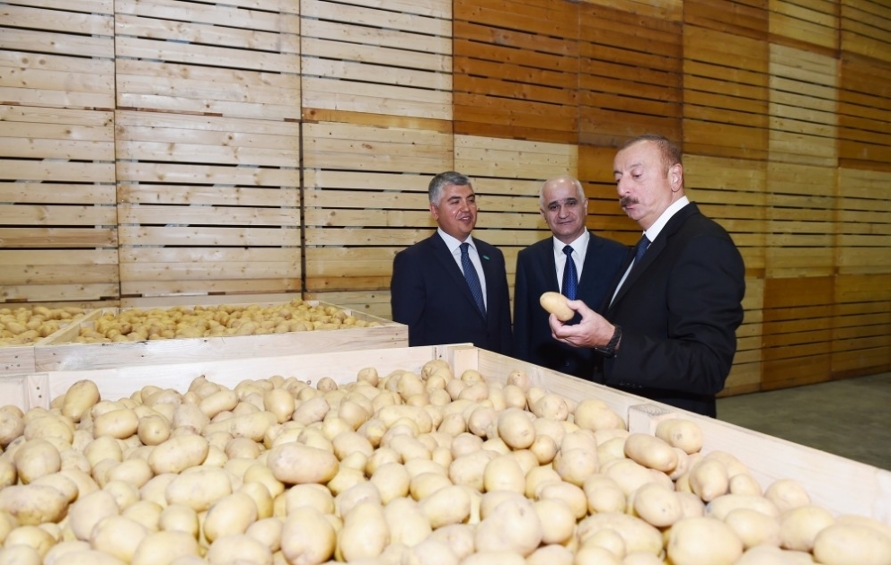 Le président Ilham Aliyev participe à l'inauguration d'un parc agricole à Ismayilli VIDEO