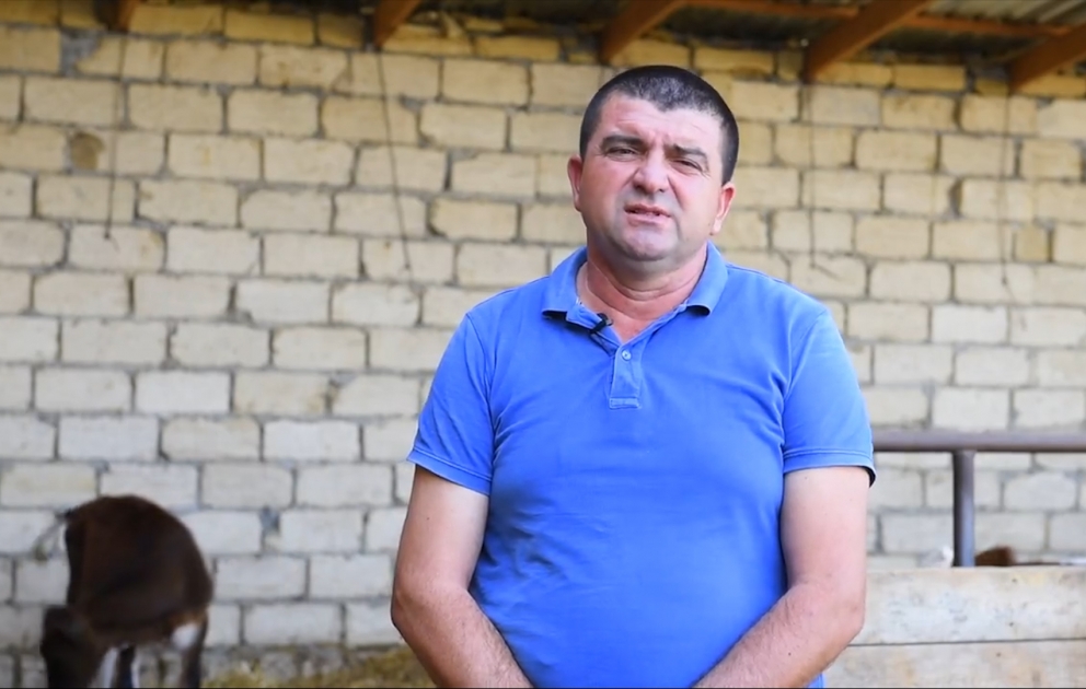 Müşfiq Həsənov: Fermer öz təsərrüfatının iqtisadi səmərəliliyini təhlil etməyi bacarmalıdır VİDEO
