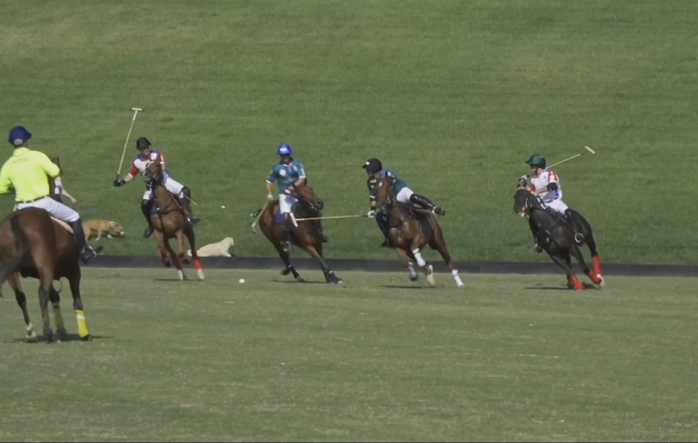Polo üzrə Azərbaycan milli komandası Avropa çempionatının finalına yüksəlib VİDEO