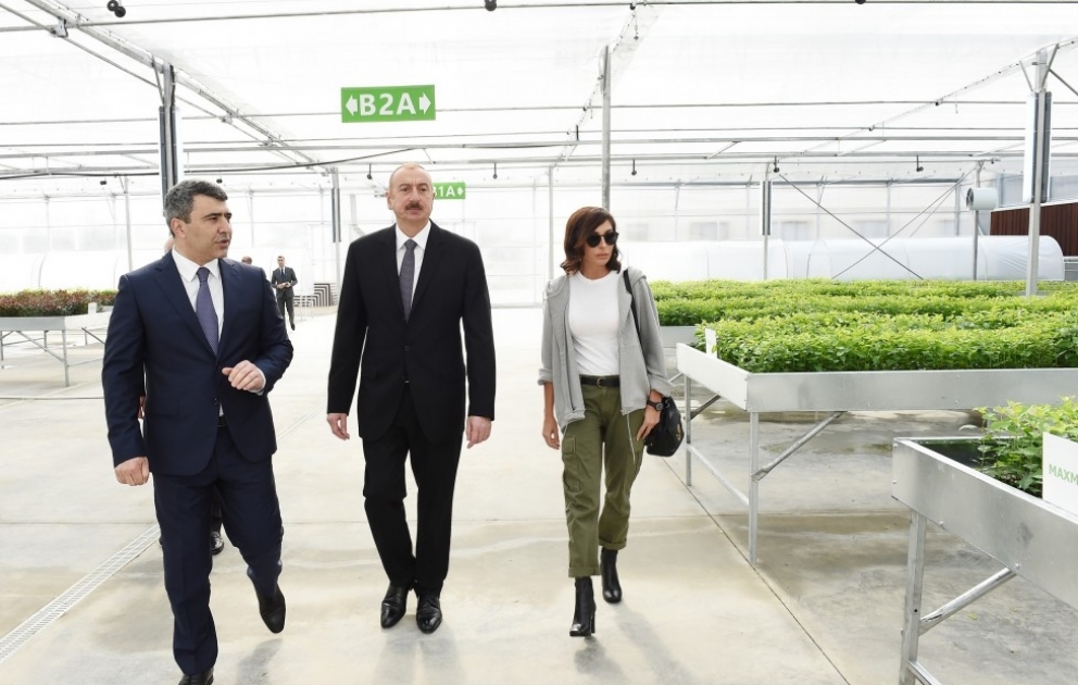 Guba: Präsident Ilham Aliyev besucht wissenschaftliches Forschungsinstitut für Garten-und Teebau VIDEO