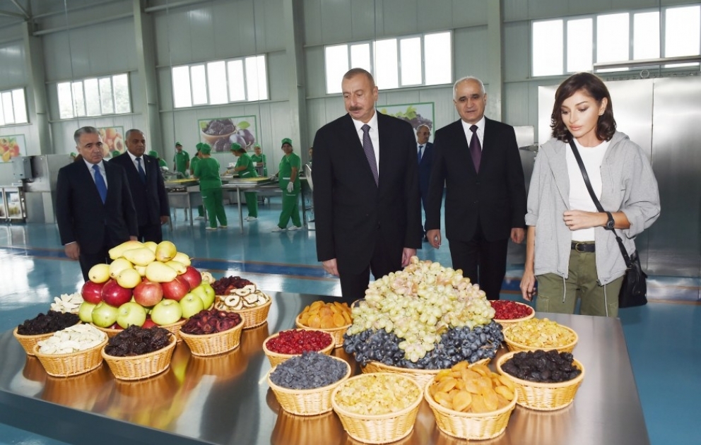 President Ilham Aliyev attended inauguration of agricultural plant of Gubaekoagrar LLC VIDEO