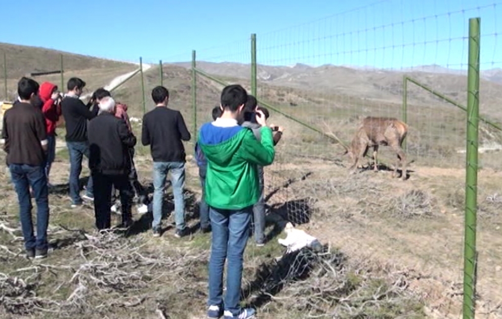 Bakı məktəblilərinin bir qrupunun Şamaxı Safari Parkına ekskursiyası təşkil olunub VİDEO