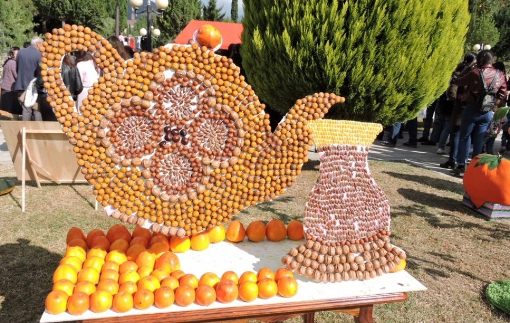 Balakəndə II Beynəlxalq xurma festivalının rəsmi açılış mərasimi olub VİDEO