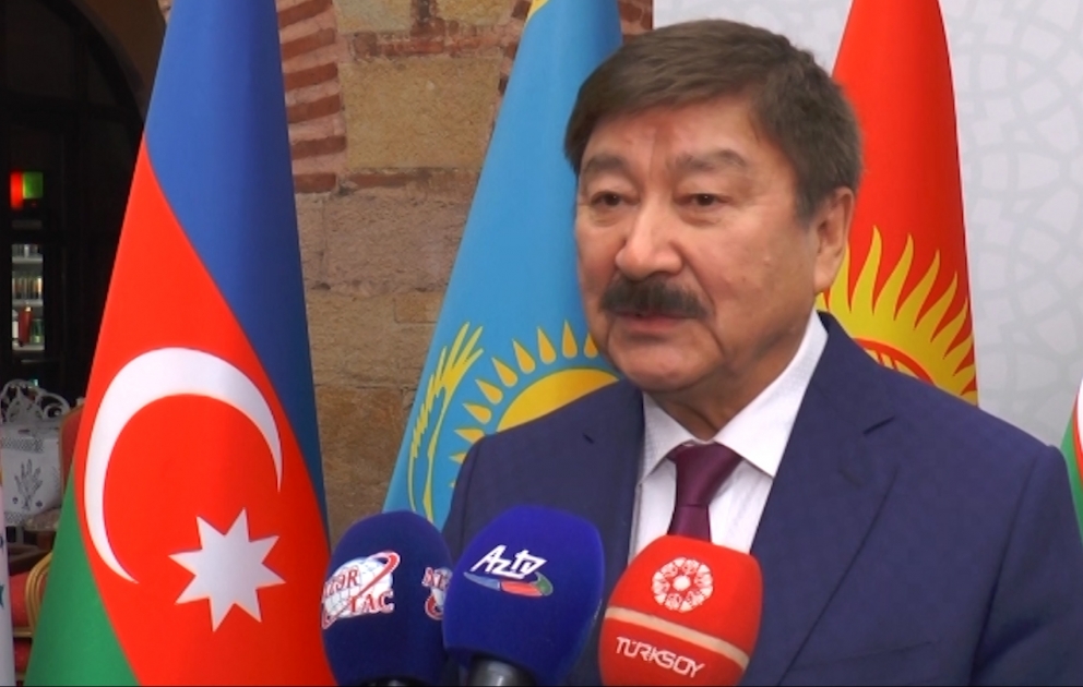 Düsen Kaseinov: 2019-cu ildə dünyanın hər yerində Nəsimi ilə bağlı tədbirlərimiz olacaq VİDEO