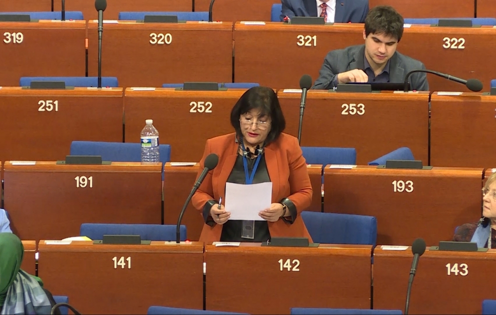 Sahibə Qafarova: Azərbaycanda 2019-cu ilin “Nəsimi ili” elan olunması humanizm ideyalarının yaşadılmasına bir çağırışdır VİDEO