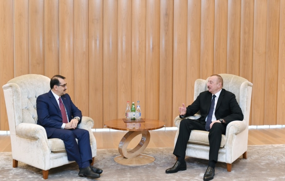 President Ilham Aliyev met with Turkish minister of energy and natural resources VIDEO