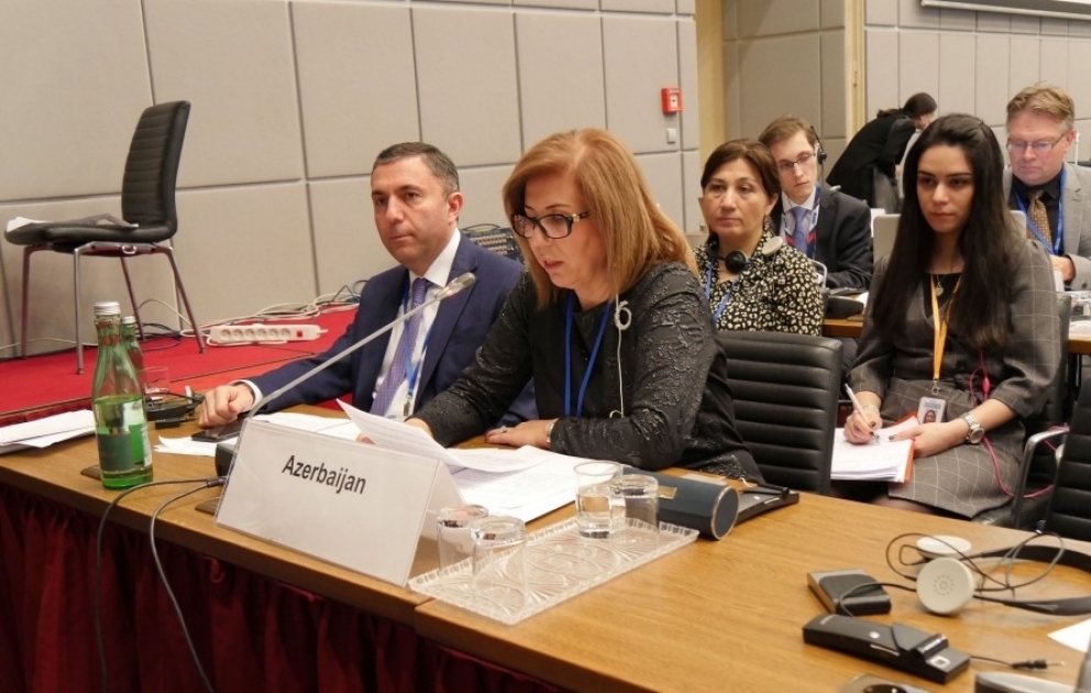 Bahar Muradova: Sərhəd zonalarında və təmas xətti boyu yaşayan insanların hüquqlarının qorunması mühüm əhəmiyyət daşıyır VİDEO