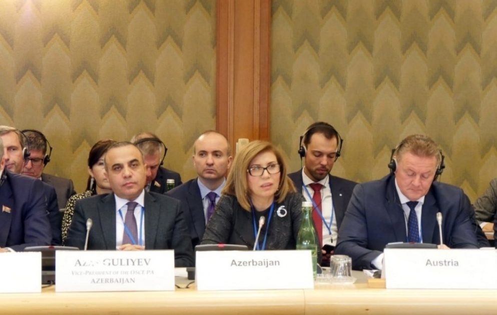 'Resolution of conflicts in OSCE area is possible only through constructive dialogue' VIDEO