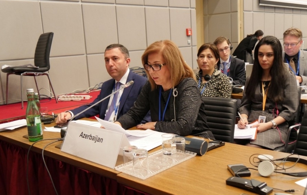 OSCE PA winter session discusses protection of human rights in emergency situations VIDEO